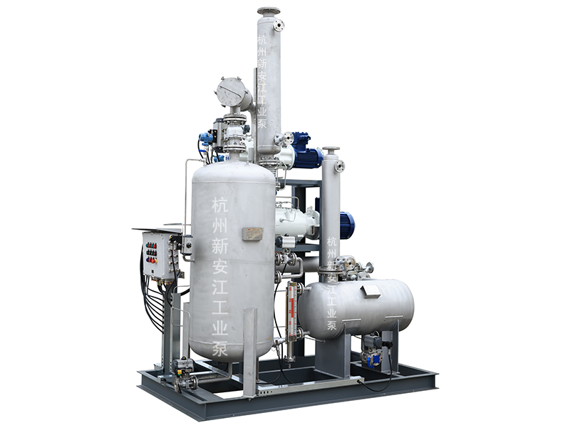 集成化羅茨螺桿真空系統(tǒng)，高效穩(wěn)定，勝任復(fù)雜苛刻工藝-杭州新安江工業(yè)泵有限公司